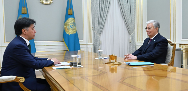 President of the Republic of Kazakhstan received Chairman of the ACSH Steering Committee Alikhan Baimenov